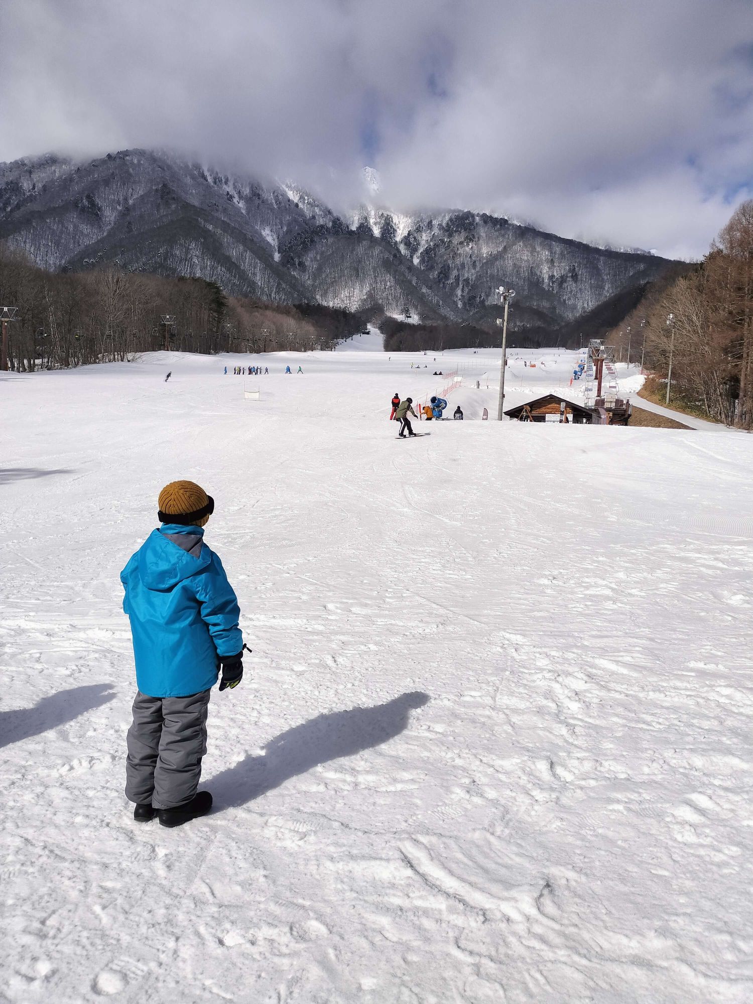 画像の説明 画像の説明