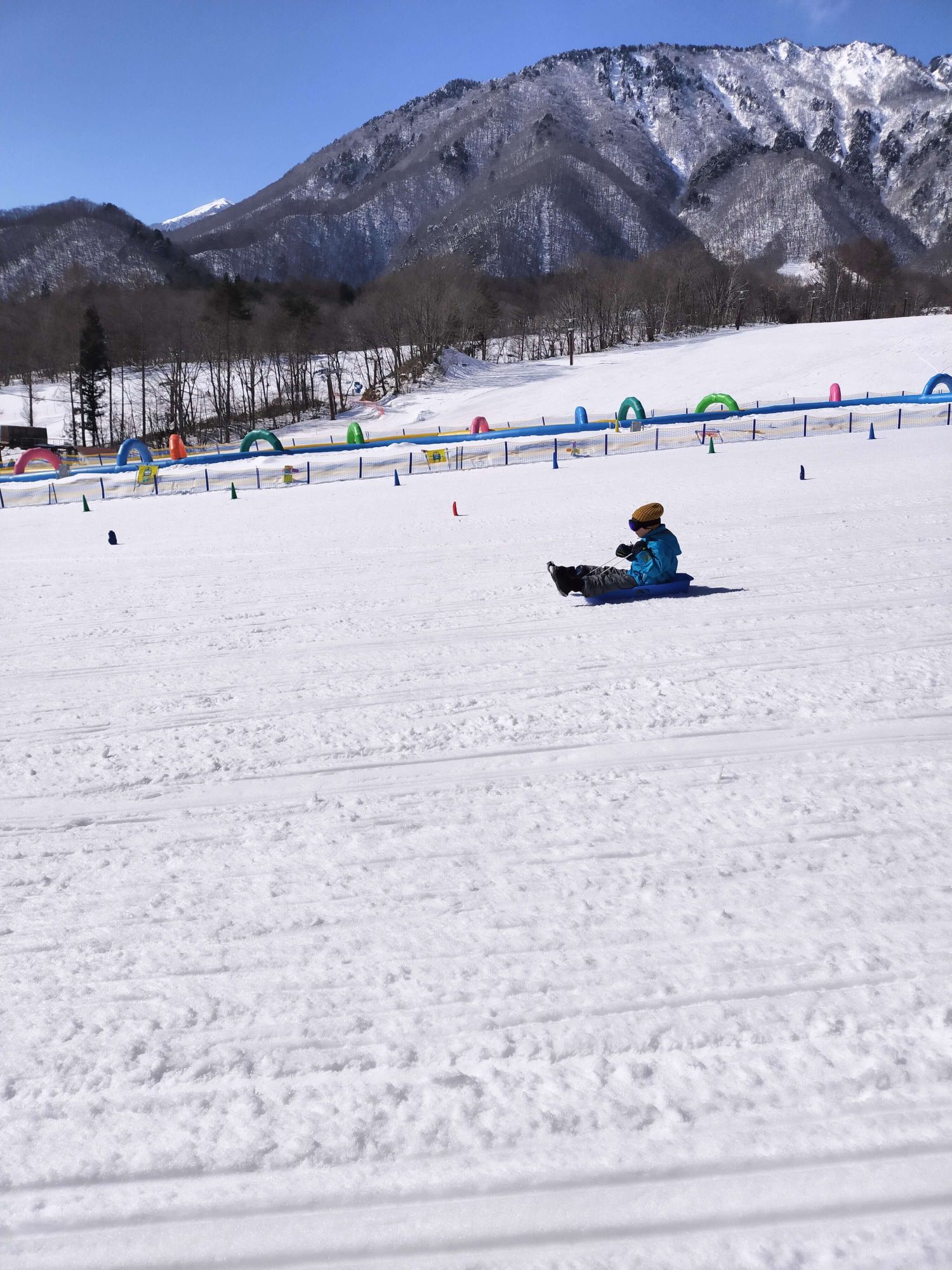 画像の説明 画像の説明